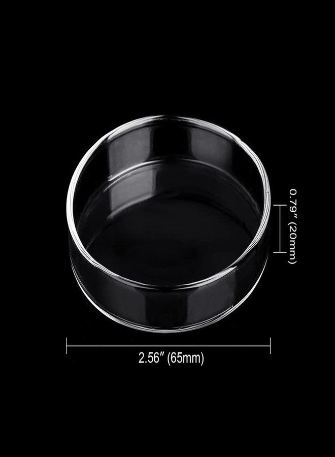 Dannisly Aquarium Glass Feeder Dish Shrimp Feeding Dish Round Clear Glass Fish Feeder Bowl Fish Tank Food Tray Container Prevent Food Spilling, 65mm - Image 2
